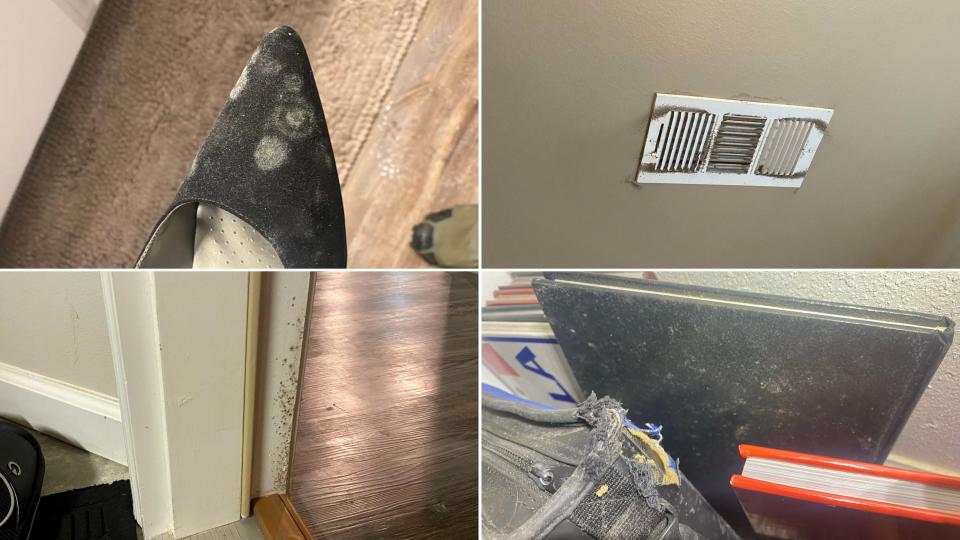 Homeowners suing D.R. Horton, the home construction company, said the work has left their homes with mold and mildew, as seen in these pictures.