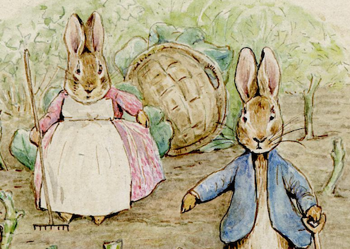 <span class="caption">An illustration by Beatrix Potter from The Tale of the Flopsy Bunnies.</span> <span class="attribution"><a class="link " href="https://www.britishmuseum.org/collection/image/218381001" rel="nofollow noopener" target="_blank" data-ylk="slk:The Trustees of the British Museum;elm:context_link;itc:0;sec:content-canvas">The Trustees of the British Museum</a>, <a class="link " href="http://creativecommons.org/licenses/by-nc-sa/4.0/" rel="nofollow noopener" target="_blank" data-ylk="slk:CC BY-NC-SA;elm:context_link;itc:0;sec:content-canvas">CC BY-NC-SA</a></span>