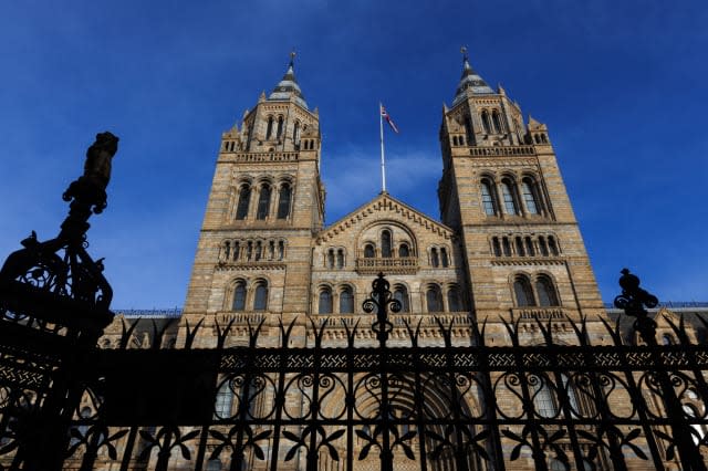 The Natural History Museum - London