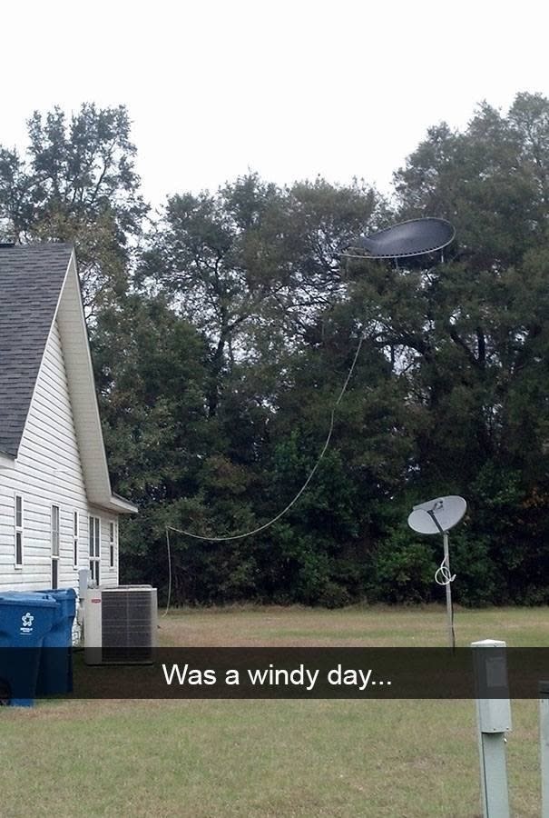 A trampoline in a tree