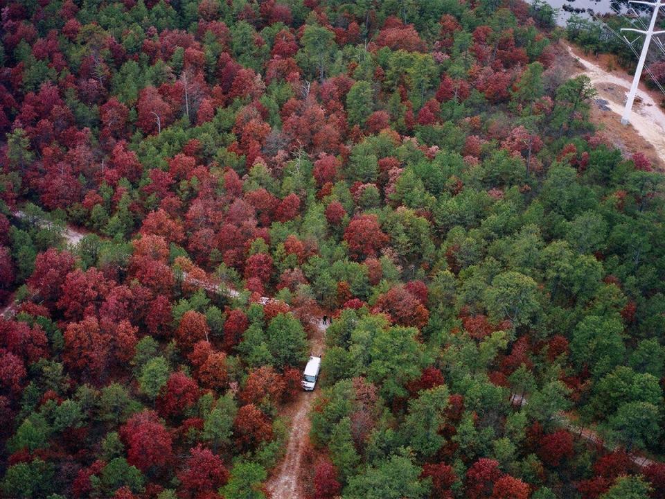 Aerial view of Manorville area where Valerie Mack remains were recovered (Suffolk County Police Department)