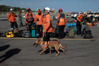 <p>A Venezuelan Civil Protection member walks with a rescue dog as they wait to depart for Mexico to help with the rescue mission after an earthquake in Mexico City, in Caracas, Venezuela on Sept. 20, 2017. (Photo: Marco Bello/Reuters) </p>