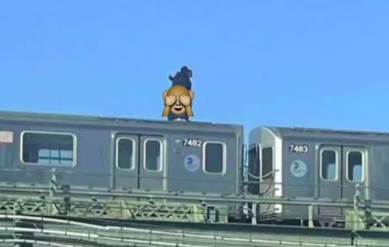 兩名男子在行駛中的列車頂上竟上演活春宮，行為離譜又危險。（圖／翻攝Ｘ平台）