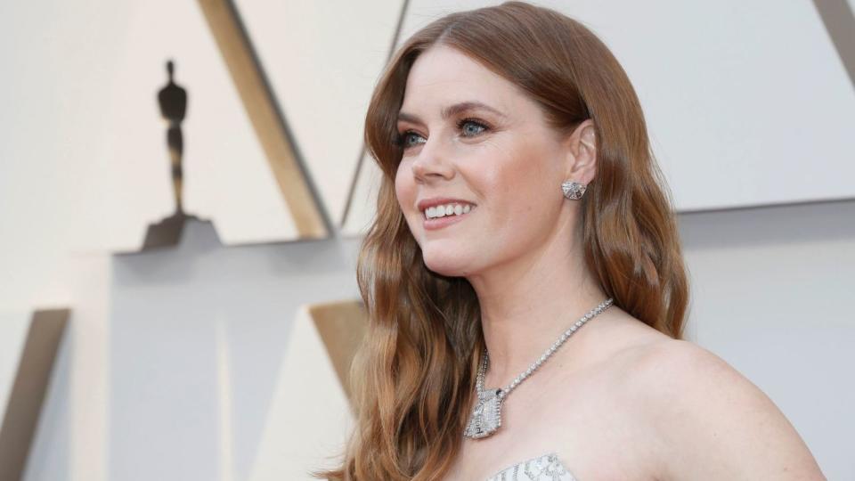 Amy Adams arrives for the 91st Academy Awards ceremony