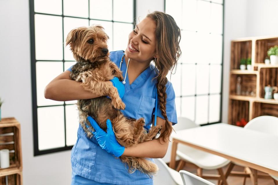 Veterinarians, especially moms, struggle to find a work life balance. Shutterstock