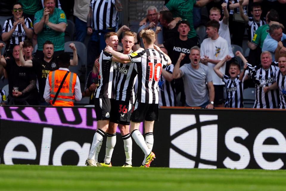 Newcastle United players celebrate against Brighton <i>(Image: PA)</i>