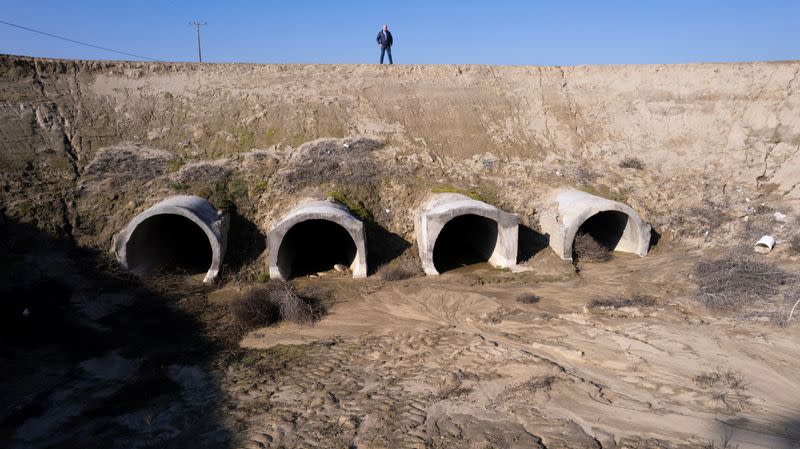 Don Cameron stands next to one of his flood capture projects on his Terranova Ranch in Helm, California