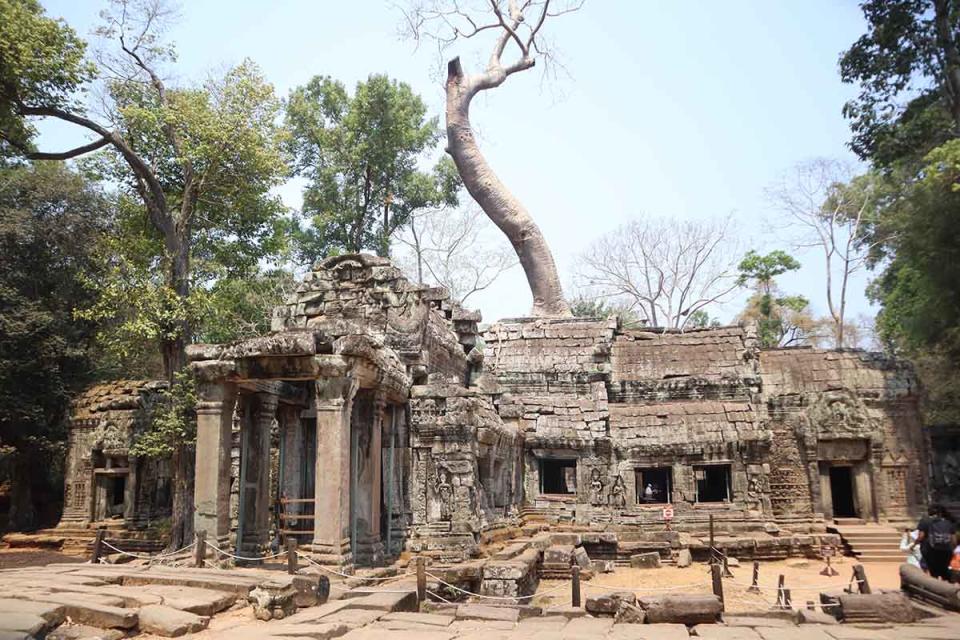 phnom penh cambodia - tomb raider temple