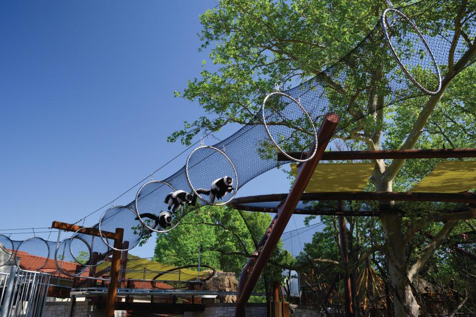 Primate Canopy Trails during construction.