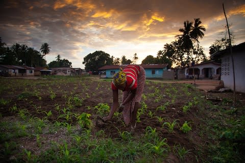 Sierra Leone is rarely visited, but has much to offer - Credit: GETTY