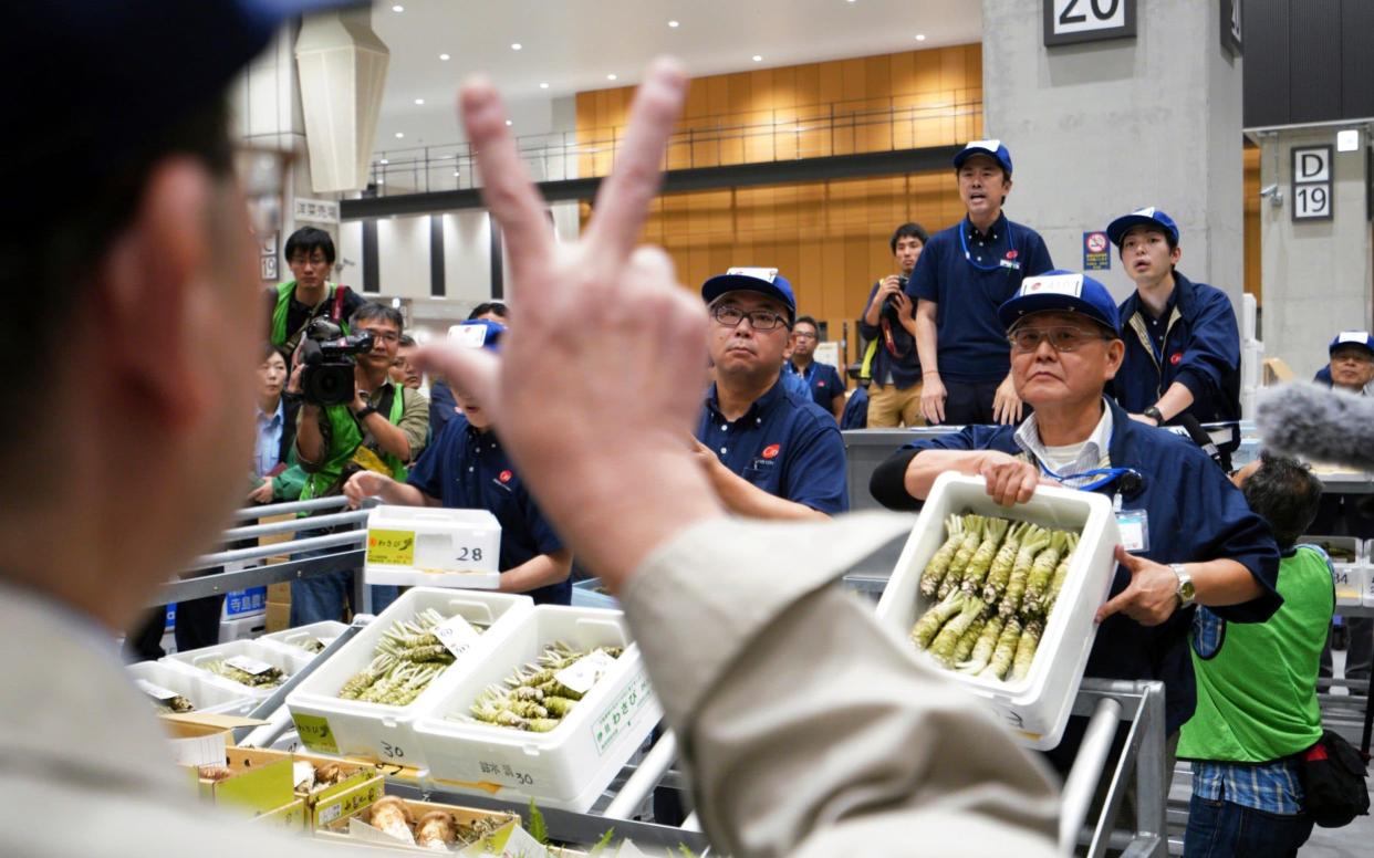Prospective buyers bid wasabi during the first auction at the newly opened fruit and vegetable wholesale part of Toyosu Market - AP
