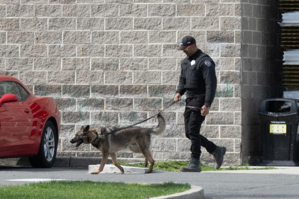 Two men wearing MSA Security caps and bulletproof vests with a German shepherd in tow guarded the Home Depot in New Rochelle on Tuesday.