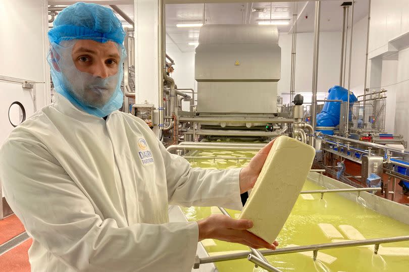 Ashton Daniels, operations manager at Dairy Partners' pizza cheese factory and creamery, Aberarad -Credit:Richard Youle