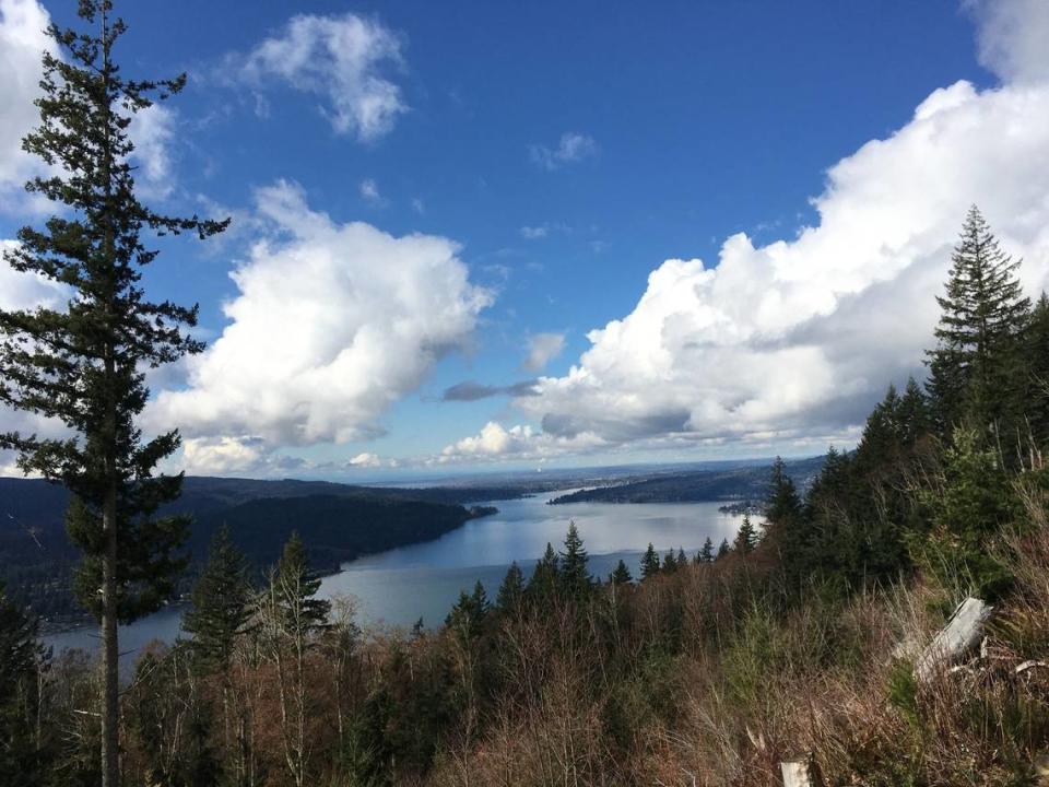 Lake Whatcom is seen looking west from a viewpoint on the Chanterelle Trail on a sunny March 8, 2020.