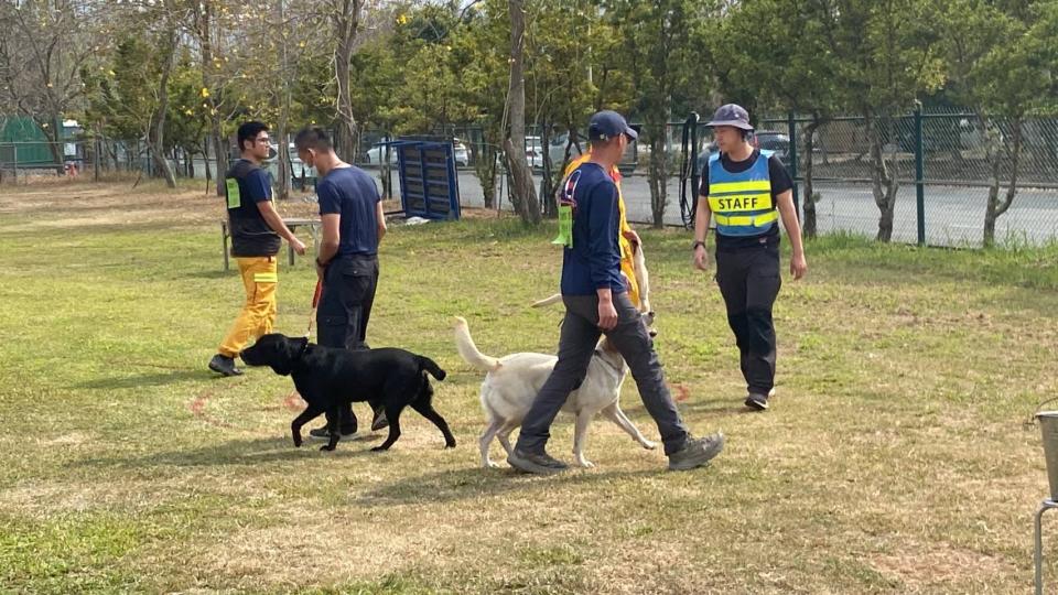 <strong>在亞洲有9隻通過聯合國認證的搜救犬，但是有7隻就在台灣，因此有著「瓦礫堆中的英雄」。（圖／翻攝自臉書</strong><a href="https://www.facebook.com/profile.php?id=100090981287877&__tn__=-UC*F" rel="nofollow noopener" target="_blank" data-ylk="slk:花蓮搜救犬隊～ｗｈｆ犬客;elm:context_link;itc:0;sec:content-canvas" class="link "><strong>花蓮搜救犬隊～ｗｈｆ犬客</strong></a><strong>）</strong>