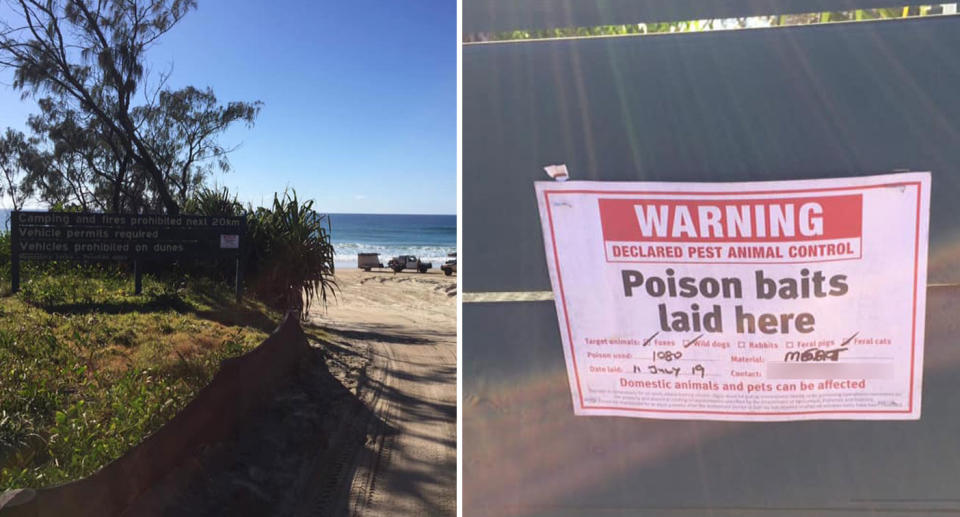 A warning sign is seen at the entrance to a Sunshine Coast dog beach alerting the public to use of 1080 poison.