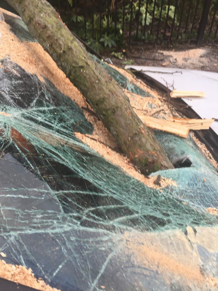 A driver had a miracle escape after a giant tree ploughed through her windscreen - missing her by inches - during Storm Doris.