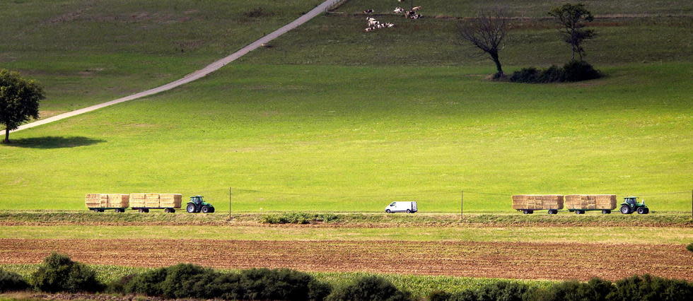 L'Insee a étudié le profil des agriculteurs.
