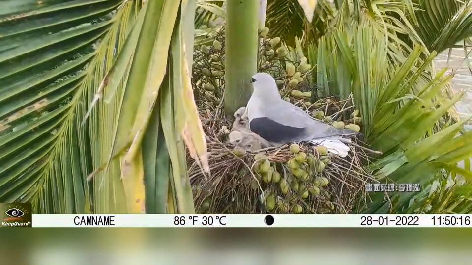 圖／畫面來源李璟泓