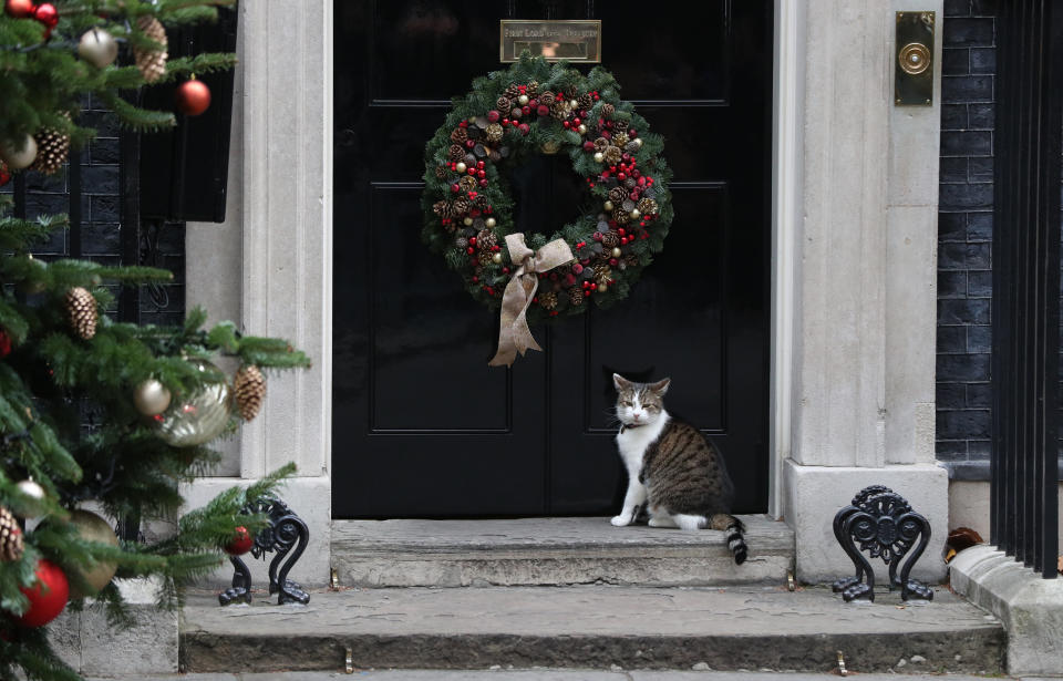 Cabinet Meeting