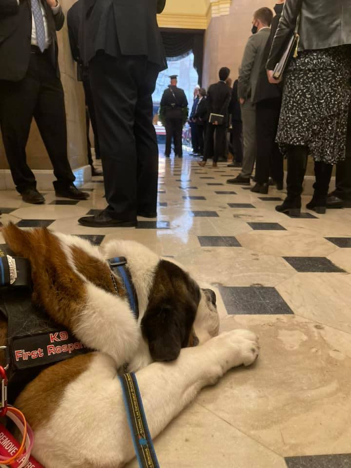 Officer Clarence rests near the body of Capitol police officer William 