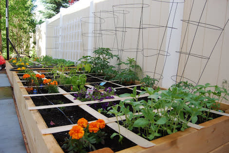 How to create a square foot garden ...