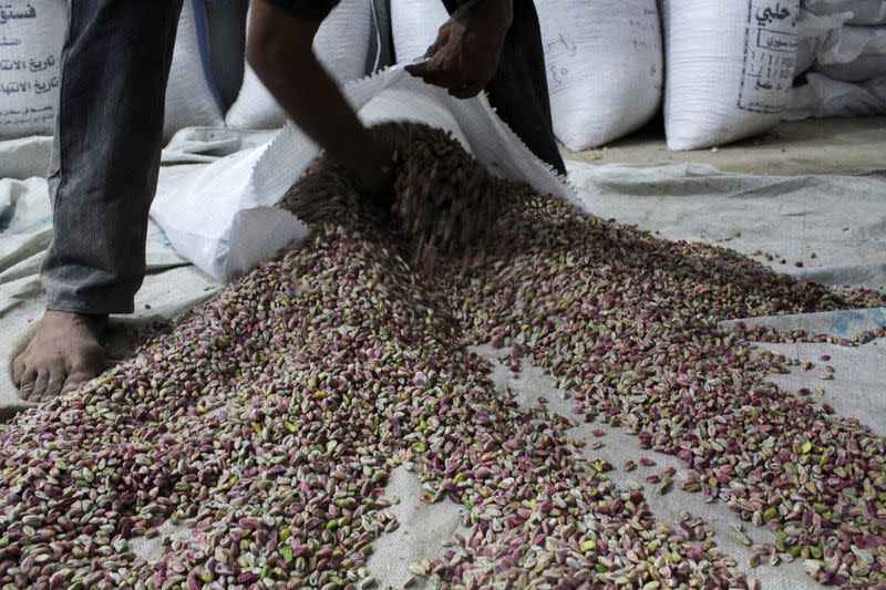 A worker fills pistachios in a sack at a factory in the town of Morek