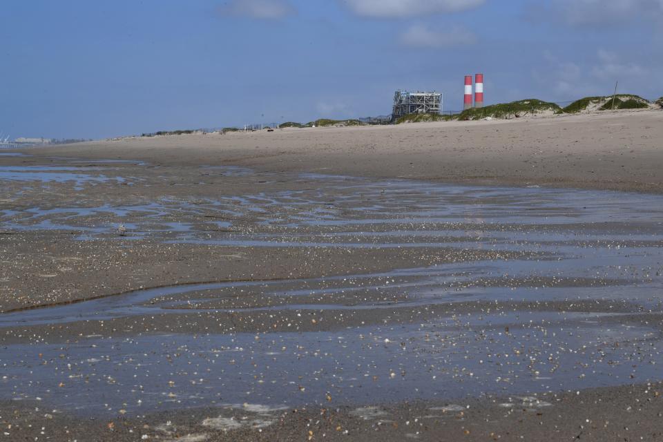 Tiny shells line the shore at Ormond Beach, where snowy plovers and other coastal bird species use the beach to nest. Officials in charge of about 650 acres of coastal wetlands hope the federal wildlife service will eventually manage the area.