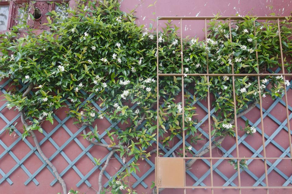 These Vertical Garden Ideas Are Perfect for Small Spaces