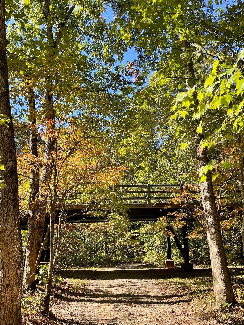 A trail near Bent Creek Road at the N.C. Arboretum.