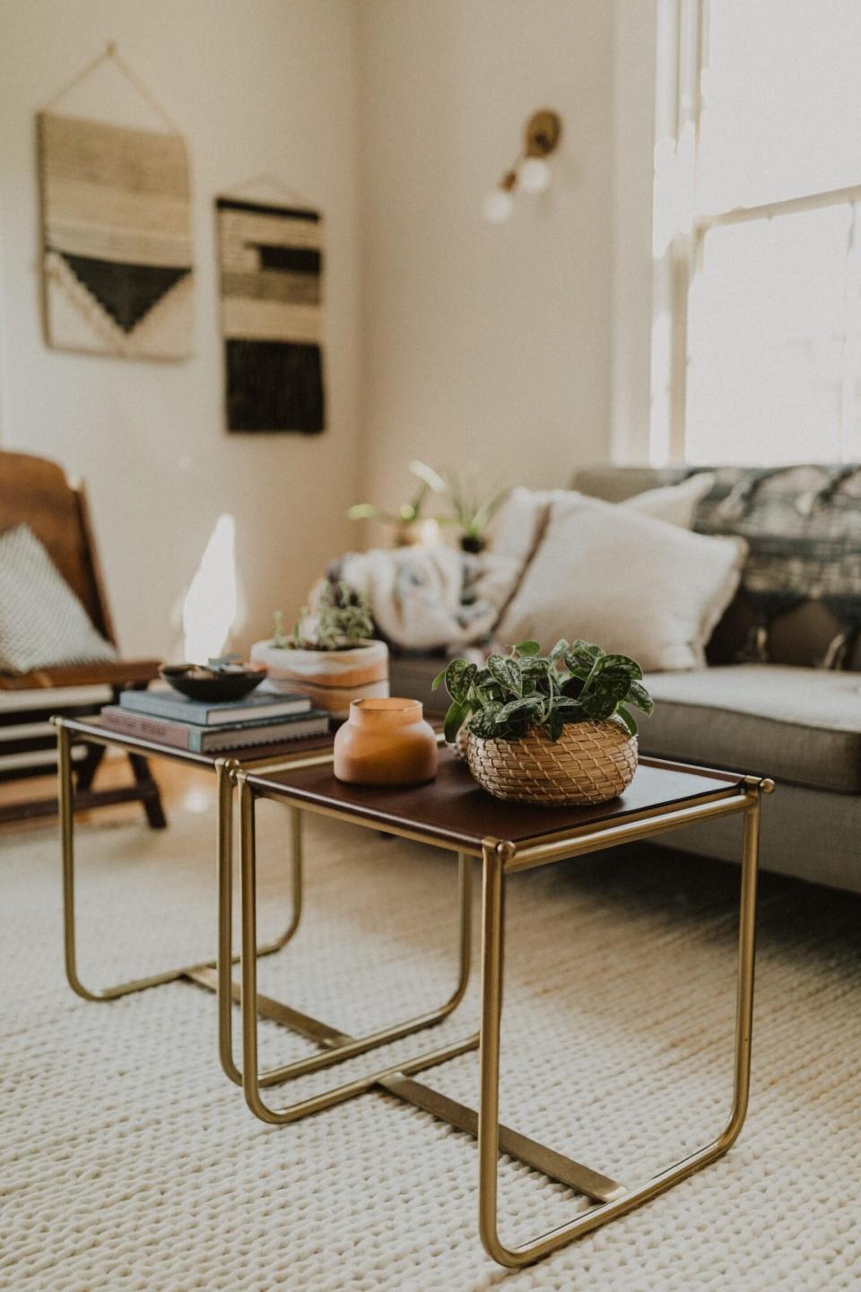 Plush rug in living room