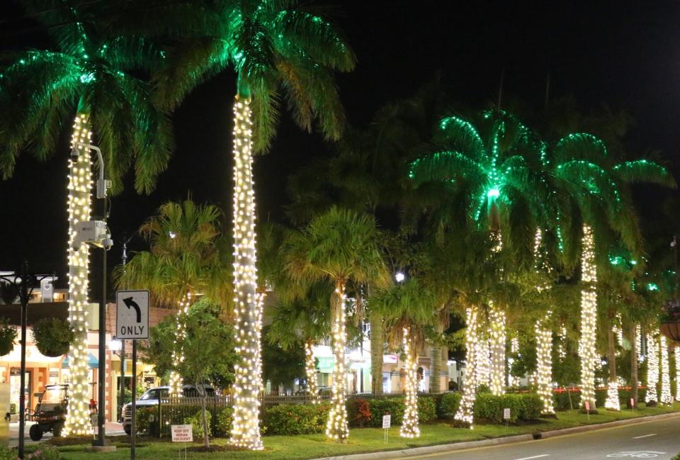 Rows of palm trees leading to Centennial Park will be lit up with Christmas lights in downtown Venice.