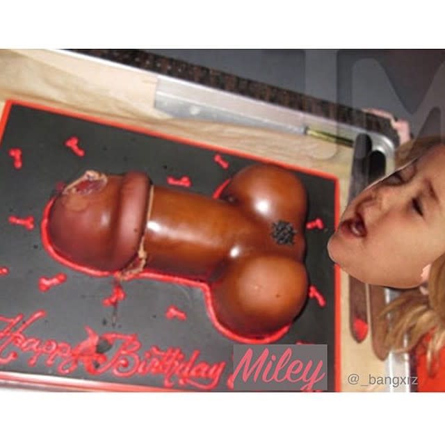 Miley Cyrus Turns 22: Pics from the Party