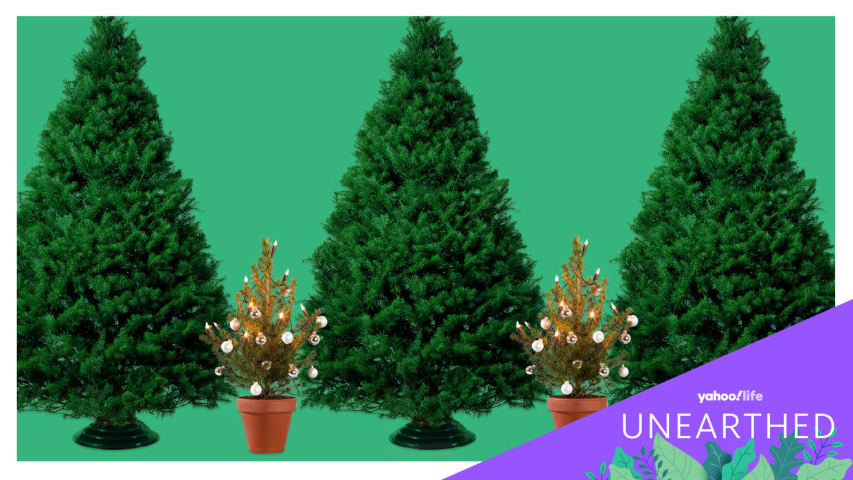 Americans spend a lot of money on Christmas trees, both real and fake, but which option is ultimately better for mother earth? (Credit Getty Images and Caitlin Murray) 