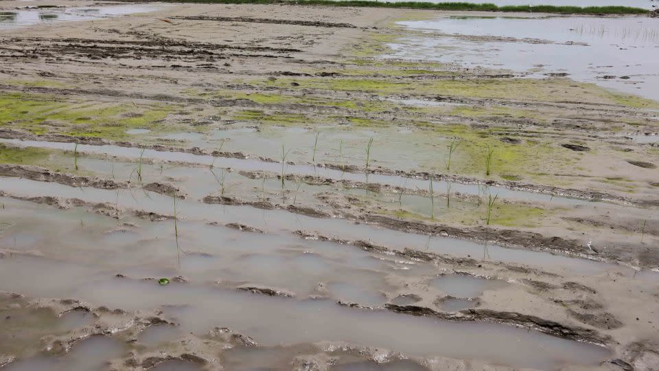The heavy floods have affected the country's farmers.  - Vijay Bedi/CNN