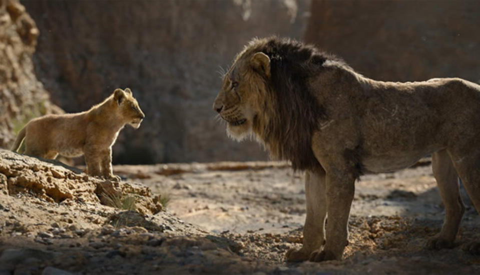 Simba and Mufasa in The Lion King