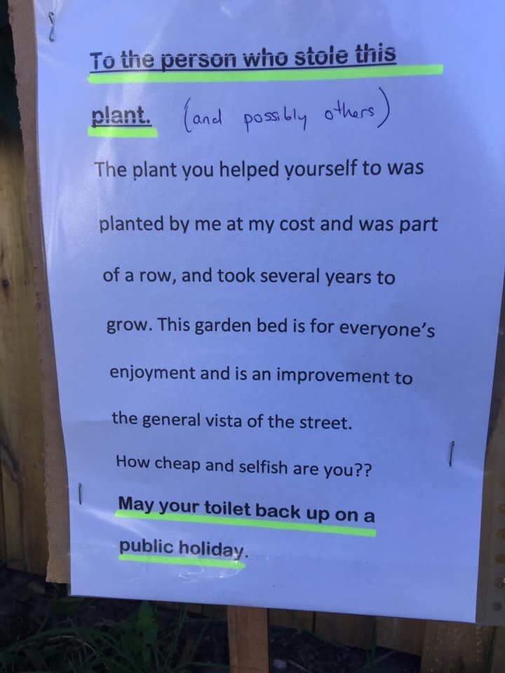 A resident said in a scathing note to a Bondi plant thief she hopes their toilet backs up. Source: Facebook 