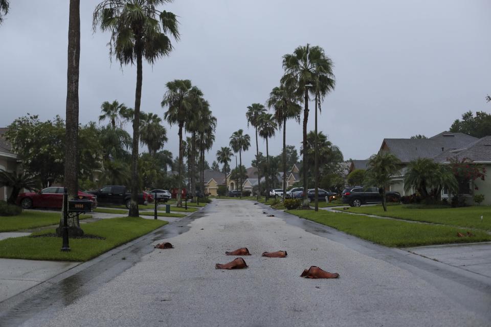 Palm leaves lay on the ground following heavy rain and wind from Tropical Storm Elsa, Wednesday, July 7, 2021 in Westchase, Fla. The Tampa Bay area was spared major damage as Elsa stayed off shore as it passed by. (Arielle Bader/Tampa Bay Times via AP)