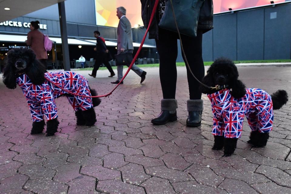 Owners arrive with their dogs for day 1 of the Cruft's dog show at the NEC Arena (Getty Images)