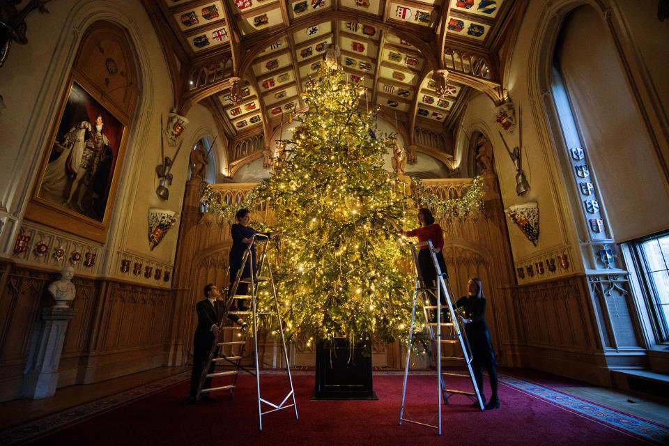 WINDSOR, ENGLAND - NOVEMBER 23: Staff members pose with a 20-foot Nordmann fir tree from Windsor Great Park in St. George's Hall decorated for the Christmas season on November 23, 2017 in Windsor Castle, England. The State Apartments of Windsor Castle are used by members of the royal family for events and receptions. Queen Elizabeth II resides at Windsor Castle most weekends and over the Easter period and it is the oldest and largest inhabited castle in the world. (Photo by Jack Taylor/Getty Images)