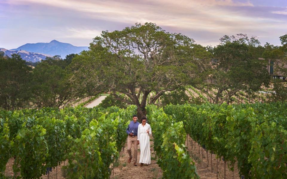 couple in vineyard - Christian Horan Photography 