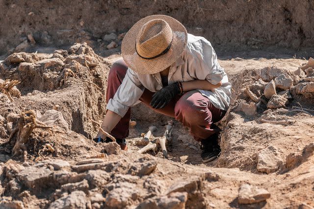 <p>Getty</p> archaeologist excavating -- stock image