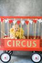 <p>Your fierce little lion will feel warm and cozy in a furry snowsuit and feather boa mane. Put him inside his very own circus wagon for easy transport while trick-or-treating. </p><p><strong>See more at <a href="https://www.stylemepretty.com/living/2015/10/07/diy-halloween-costume-circus-lion/" rel="nofollow noopener" target="_blank" data-ylk="slk:Style Me Pretty;elm:context_link;itc:0;sec:content-canvas" class="link ">Style Me Pretty</a>. </strong></p><p><a class="link " href="https://www.amazon.com/Amscan-Costume-Party-Feather-Accessory/dp/B01BHFWORS?tag=syn-yahoo-20&ascsubtag=%5Bartid%7C10050.g.29402076%5Bsrc%7Cyahoo-us" rel="nofollow noopener" target="_blank" data-ylk="slk:SHOP GOLD FEATHER BOAS;elm:context_link;itc:0;sec:content-canvas">SHOP GOLD FEATHER BOAS</a></p>