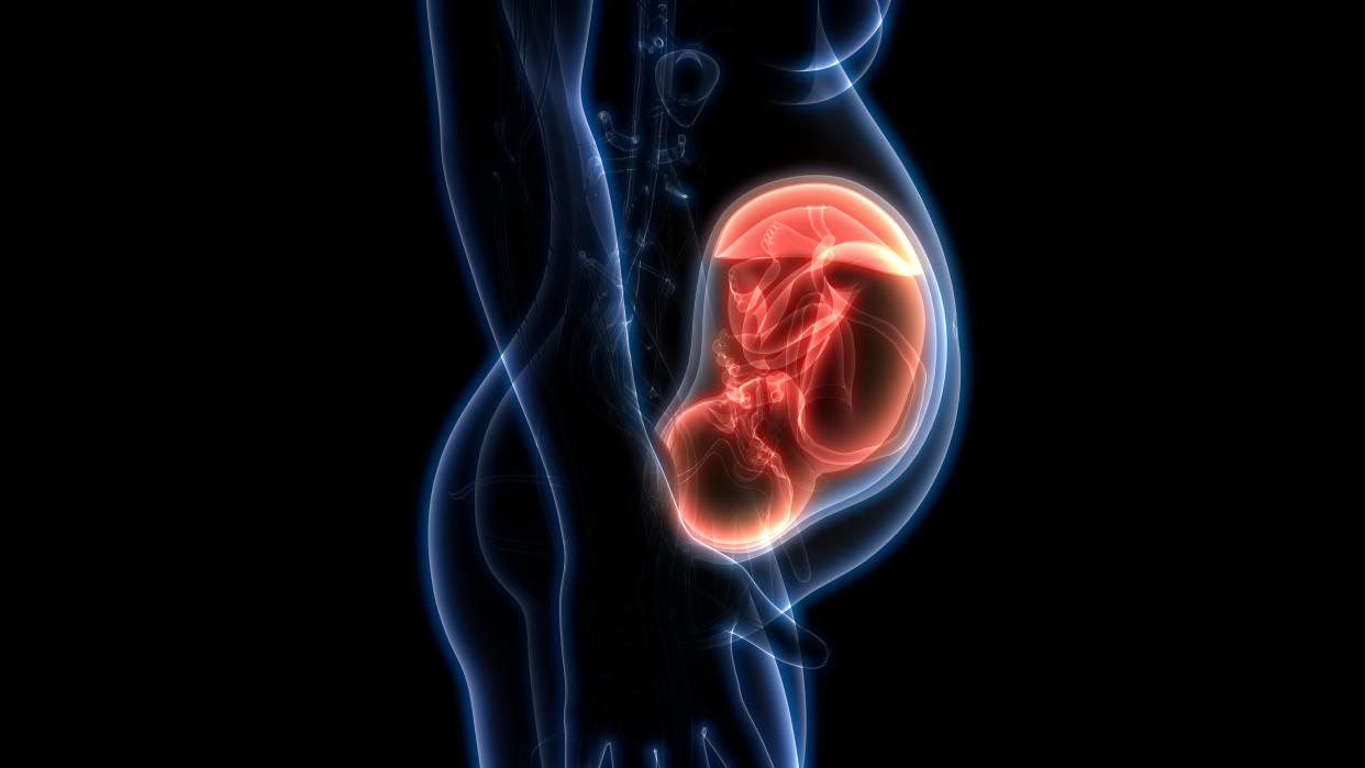 Illustration of a fetus in a womb.