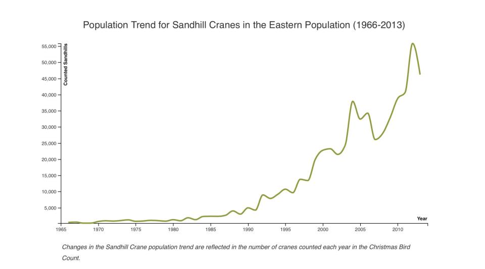 A trend graph shows the long-term increase in the Eastern population of sandhill cranes in North America, which includes Wisconsin. The data were obtained during the annual Christmas Bird Count organized by the Audubon Society.