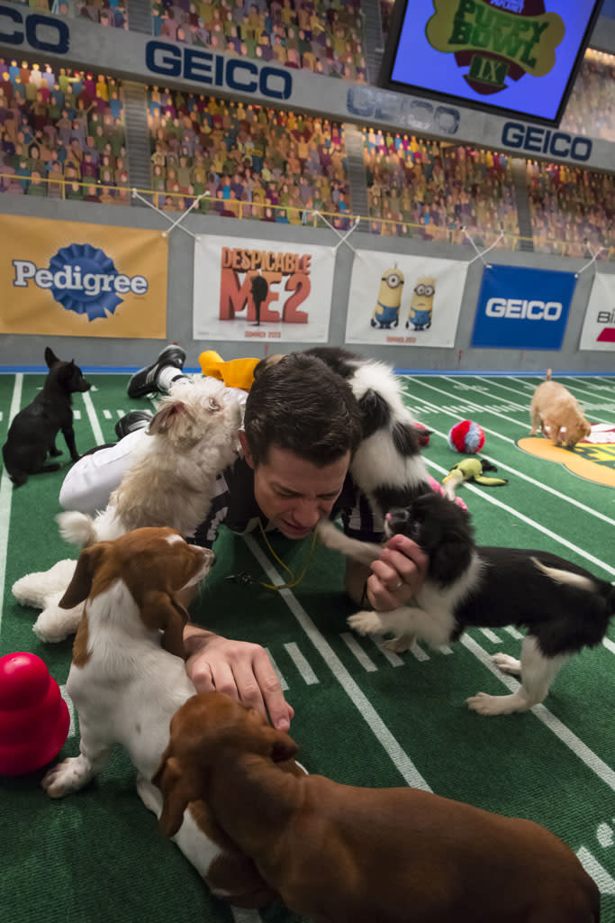 Puppy Bowl IX - Animal Planet