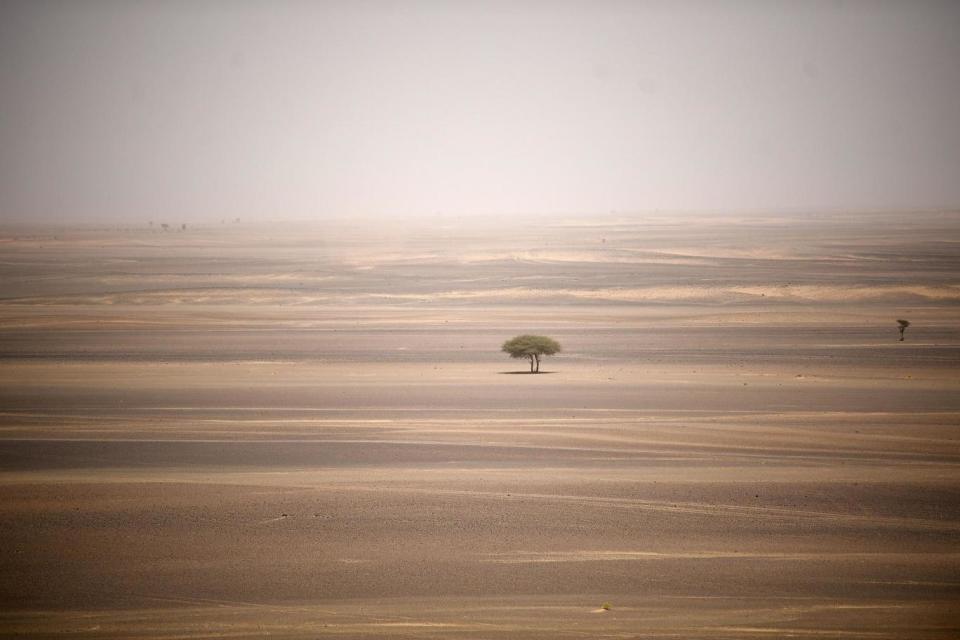 The Sahara desert stretches 3000 miles from east to west (AFP/Getty Images)