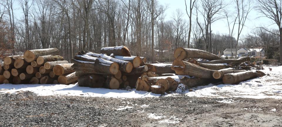 Trees are cleared for the mikvah being built on Hillside Avenue in Ramapo bordering Airmont directly across for a cemetery under construction, on Feb. 15, 2022.
(Credit: Peter Carr/The Journal News)