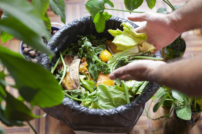 Someone using leftover organic food for compost avoiding waste and recycling.