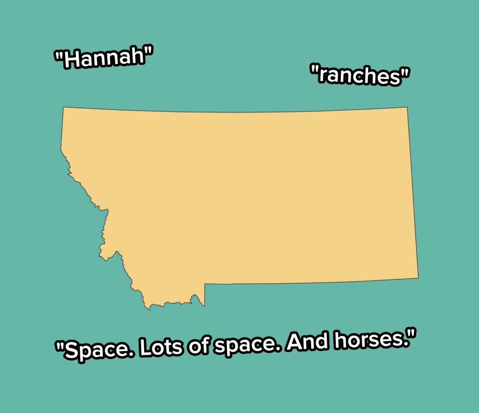 Montana outline